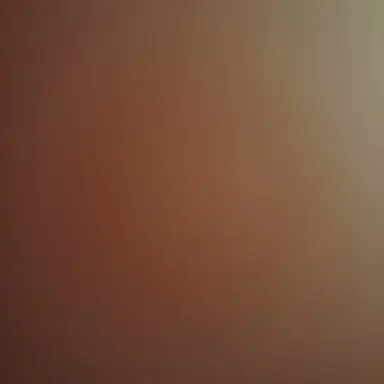 Profile image of 유저