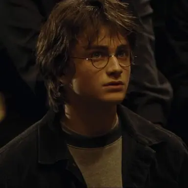 Profile image of Harry Potter
