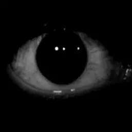 Profile image of Xister