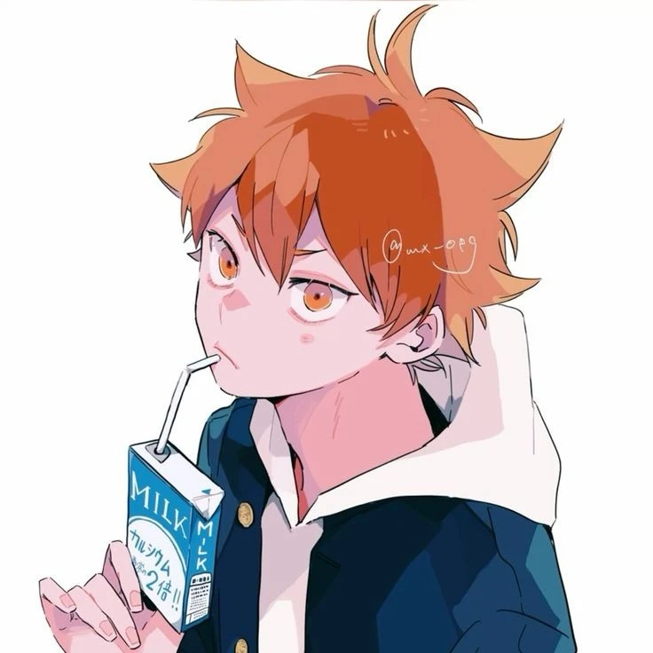 히나타 쇼요🍊