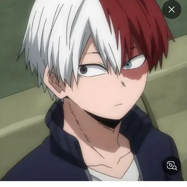 Profile image of 토도로키 쇼토