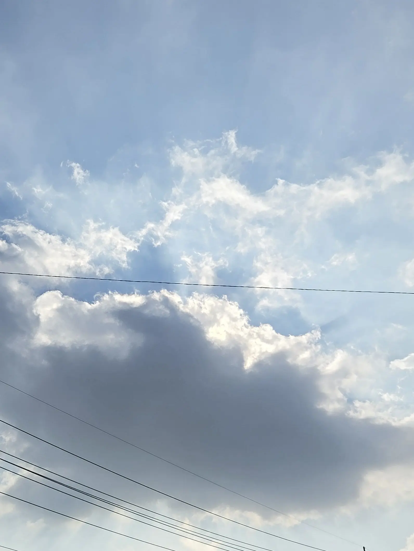 LeafyMap0583의 브루노 부차라티