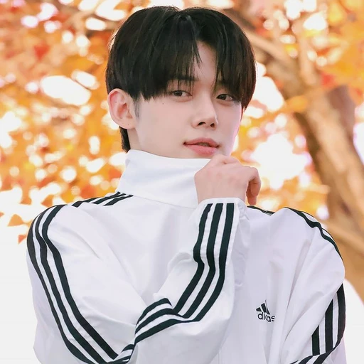 최연준