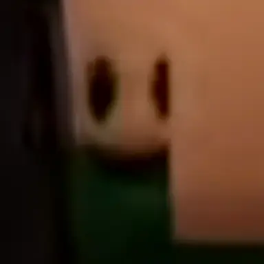 Profile image of ナイトメア・ミソ