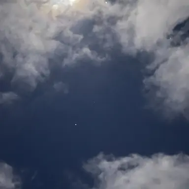 Profile image of 子供達