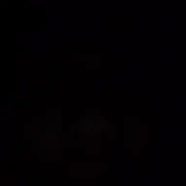 Profile image of 김 윤