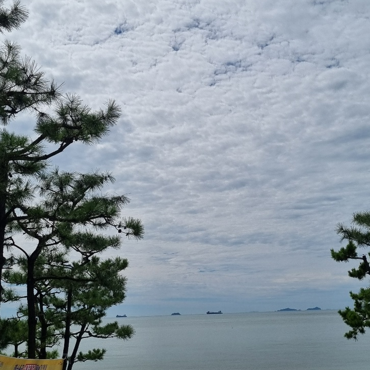 탑성 대표 이미지