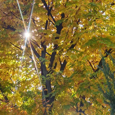 Profile image of user