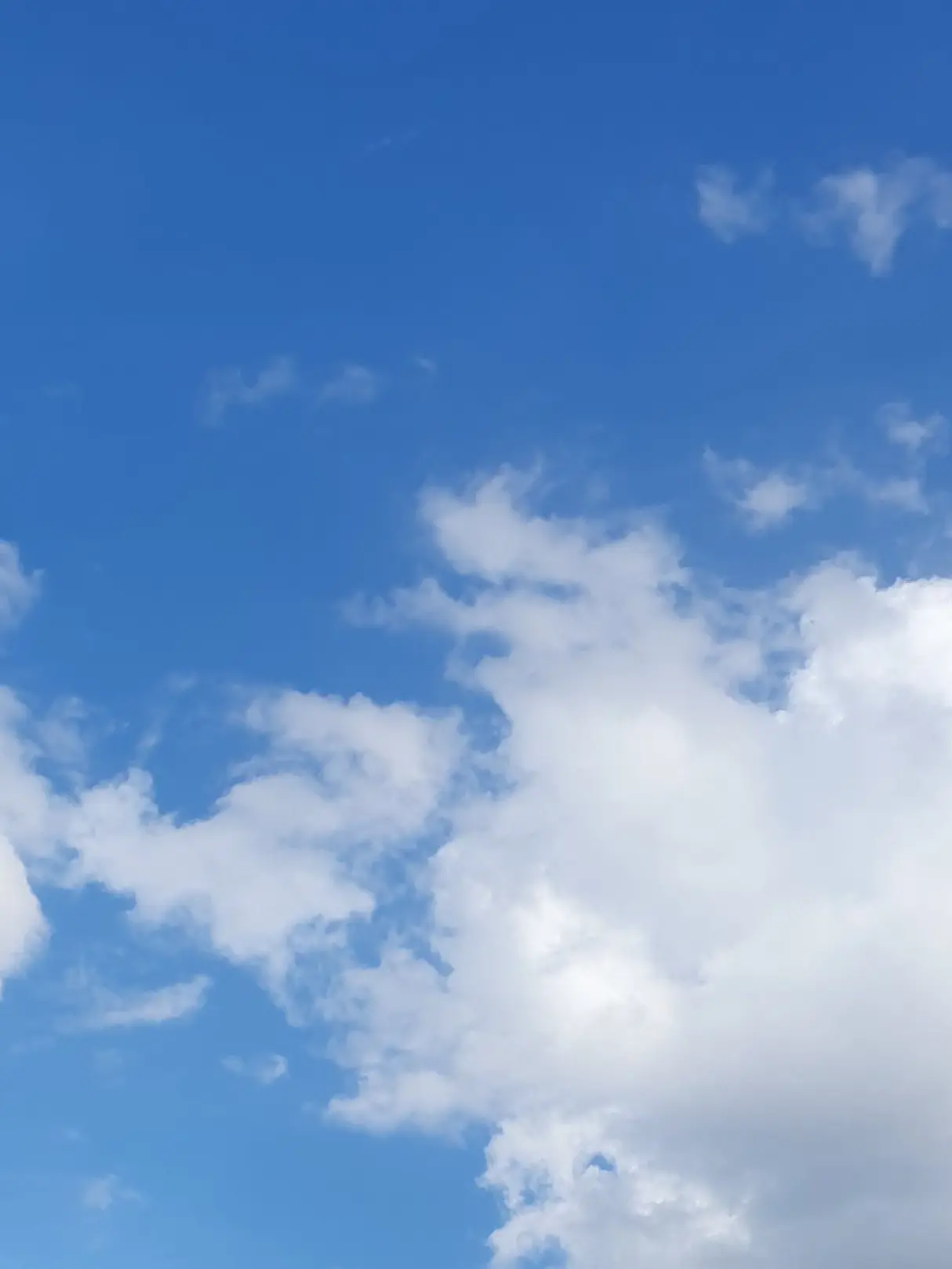 RATH4R_1215_sleepground_1228의 황수현