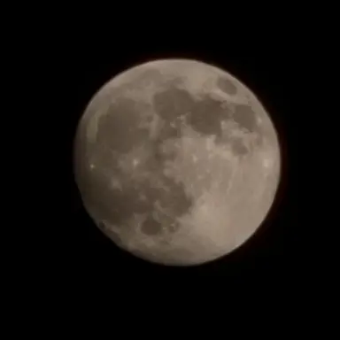 Profile image of 길리우 룸바르디