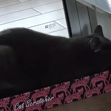 Profile image of 룰락 룸바르디