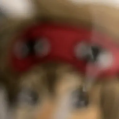 Profile image of 沖田 総悟