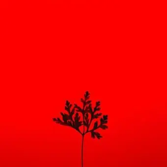 Profile image of 라더경사