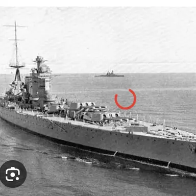 Profile image of ネルソン