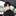 한윤서