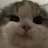 일진 변우석