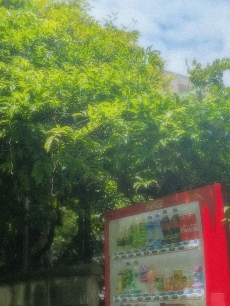 GlassWok1908의 서태윤