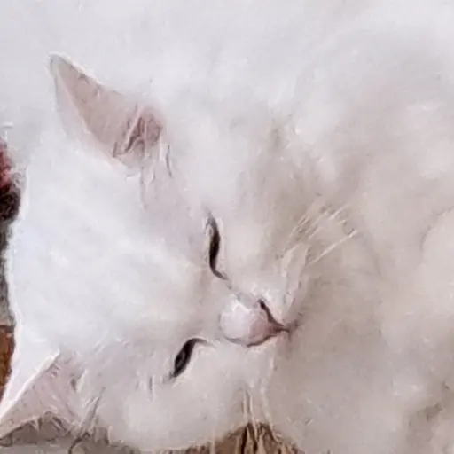 cutienami의 세상에서 겁나 귀여운 나미