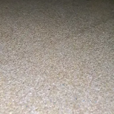 Profile image of 잠경위