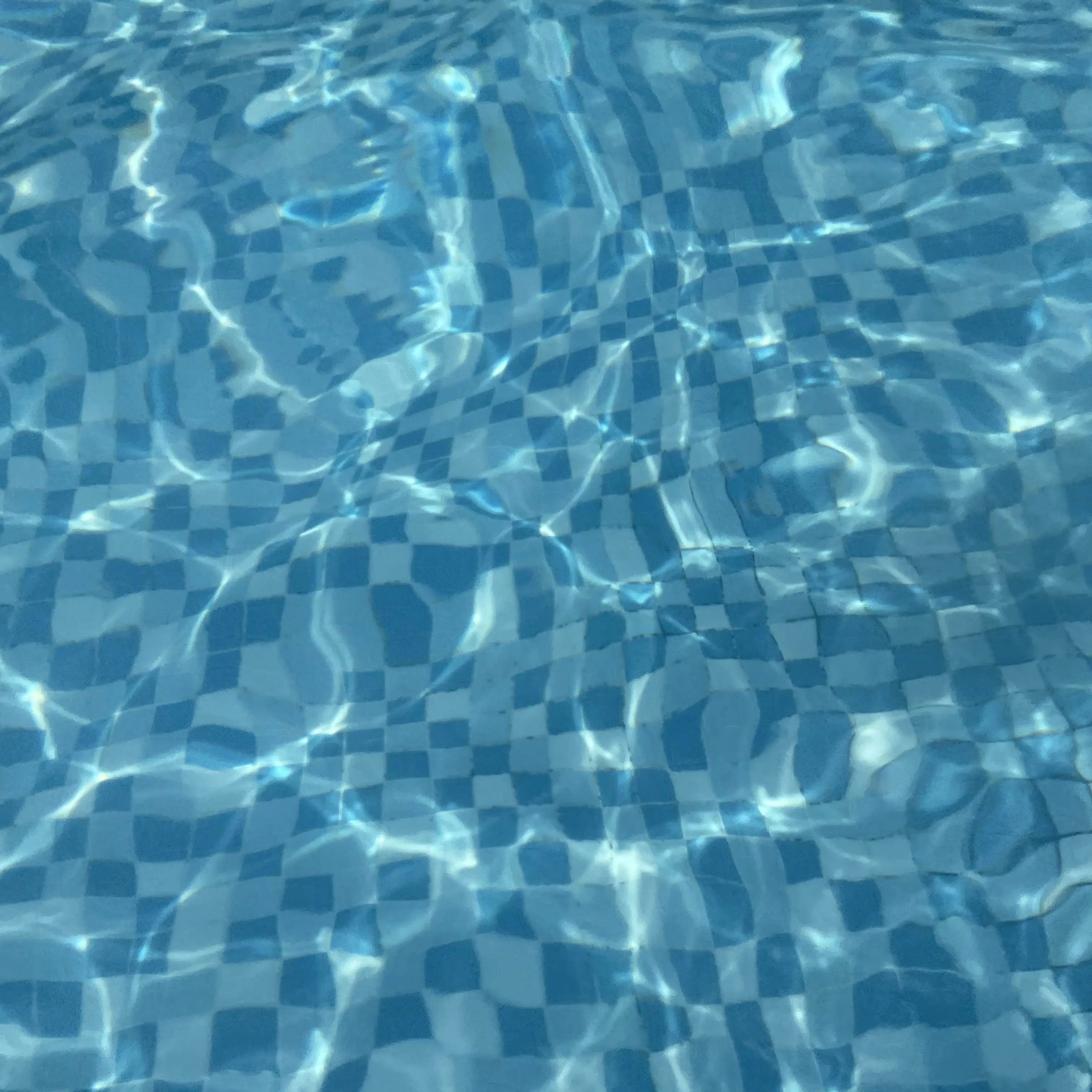 Cmchlckyfykkydgkxchcjvk의 이서