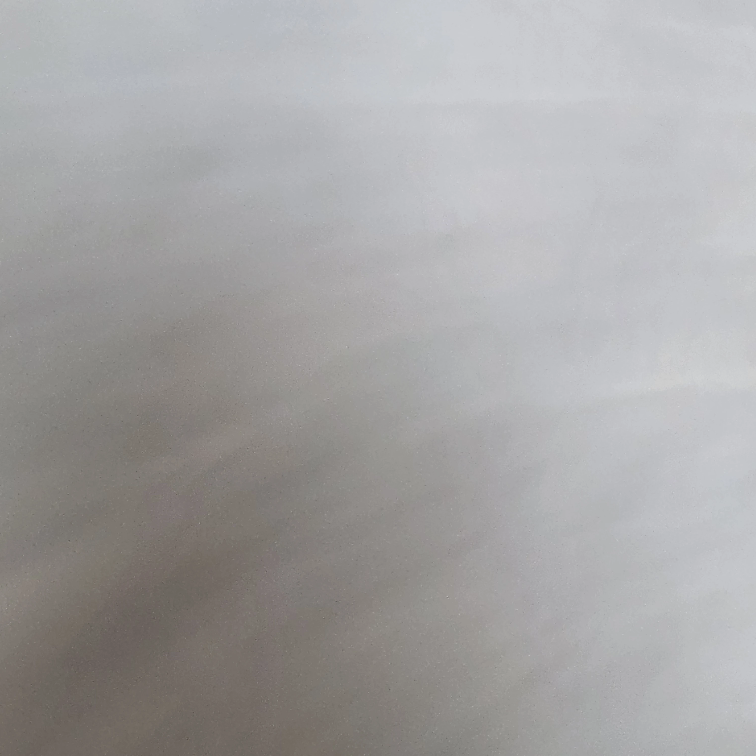 우유참치
