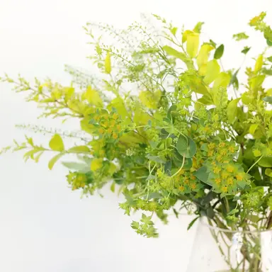 Profile image of 공룡