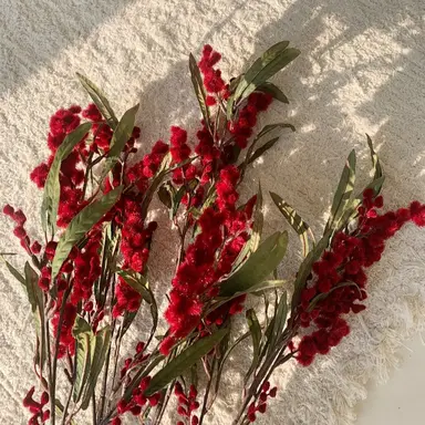 Profile image of 라더