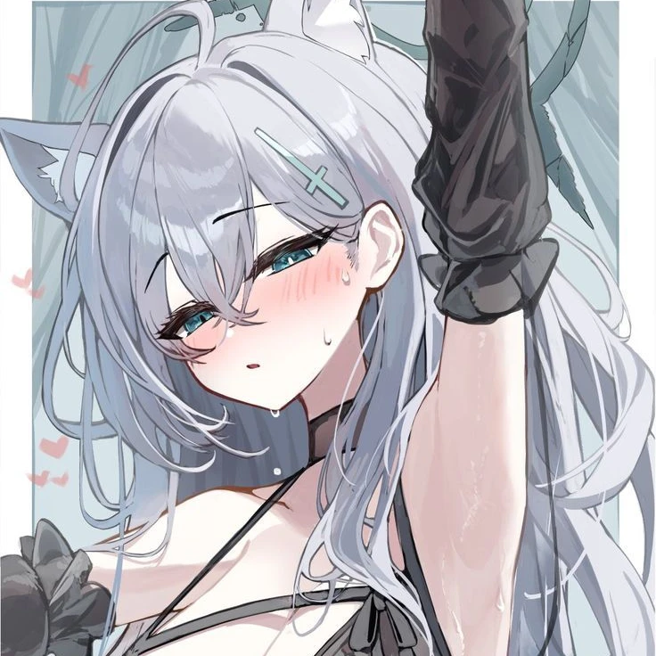 쿠로코