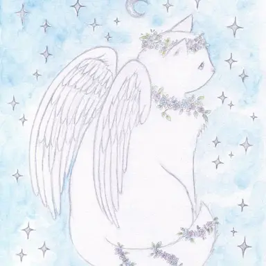 Profile image of 루미