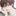 황 한 빈