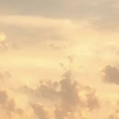 Profile image of 髙地優吾