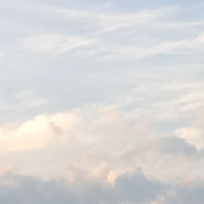 남한