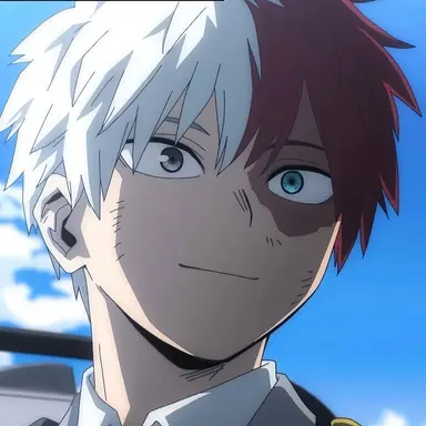 Profile image of Shoto Todoroki
