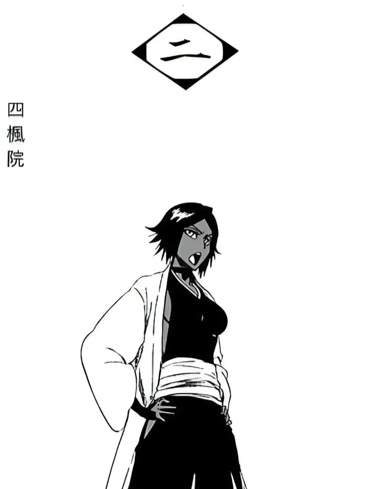 Doppio의 과거편 호정 13대