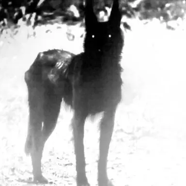 Profile image of 하데스