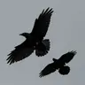Profile image of .