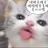 메이드