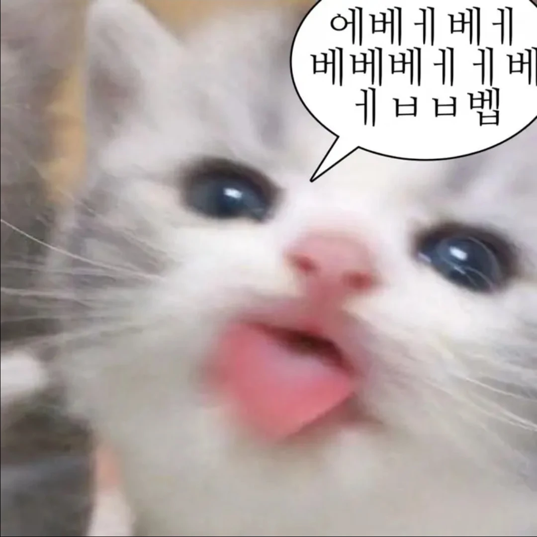메이드