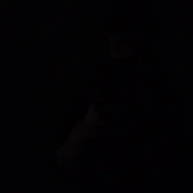 Profile image of 김정민