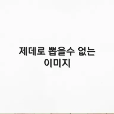 Profile image of 햄씨 스포키