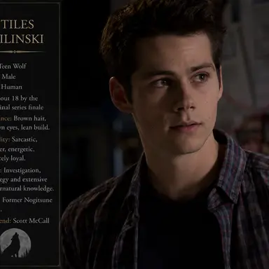 Profile image of Stiles Stilinski