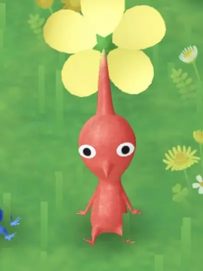 OvalHarp2454의 1215