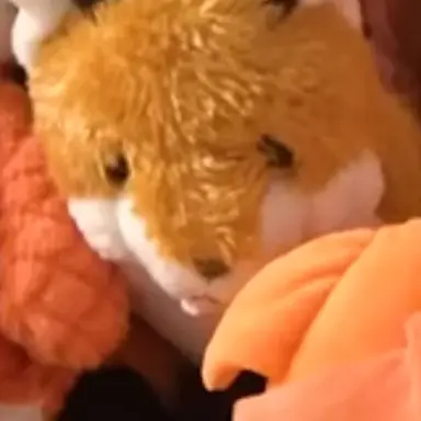Profile image of 영현