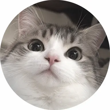 Profile image of 篠宮 叶夢