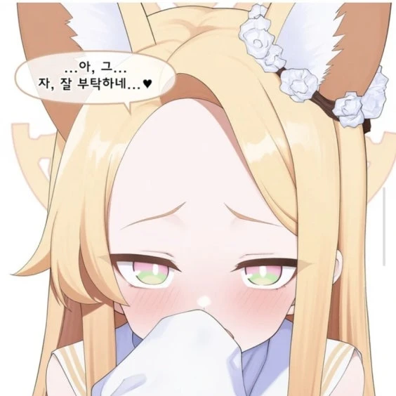 세이아