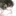 시 로