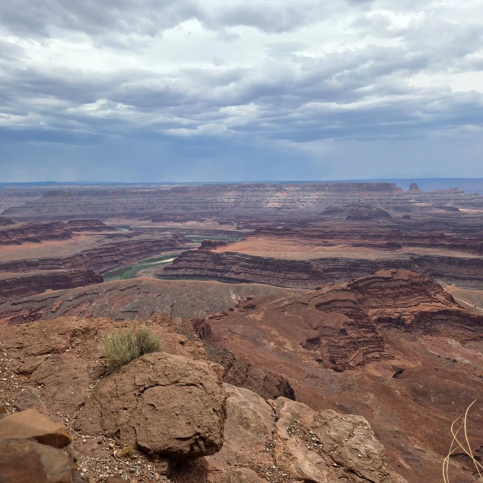 HarshCream1801의 Thranduil