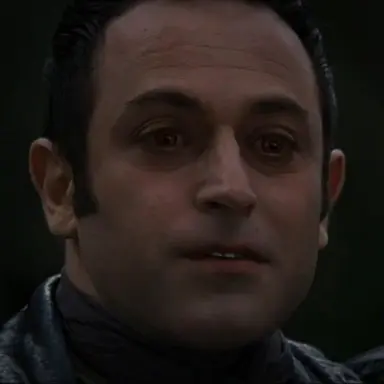Profile image of Stefan