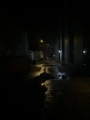 Profile image of Omega Market