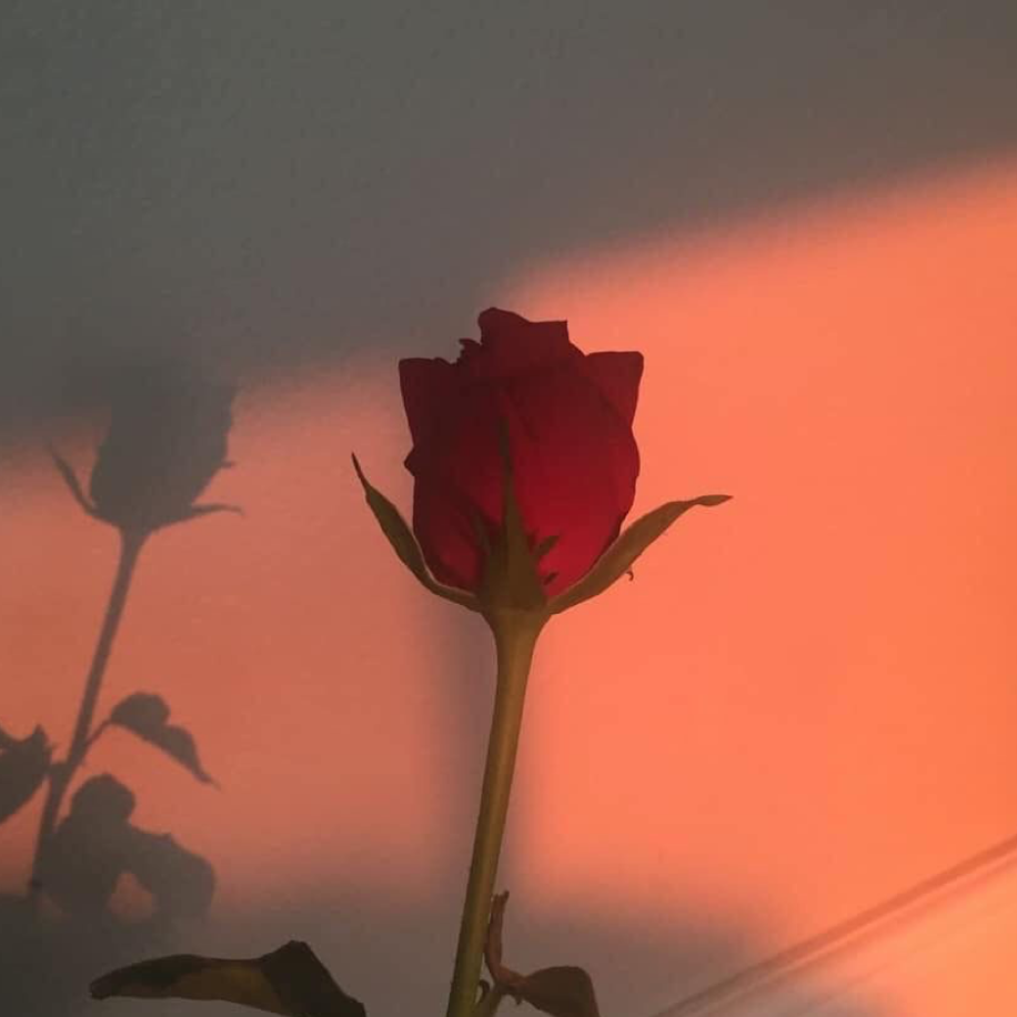 히어로 뜰팁 대표 이미지